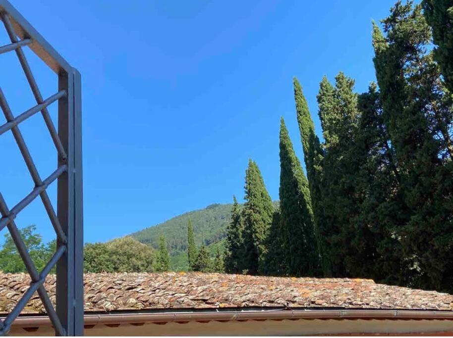 Uno Spazio Di Relax In Toscana Apartment Buti Exterior photo